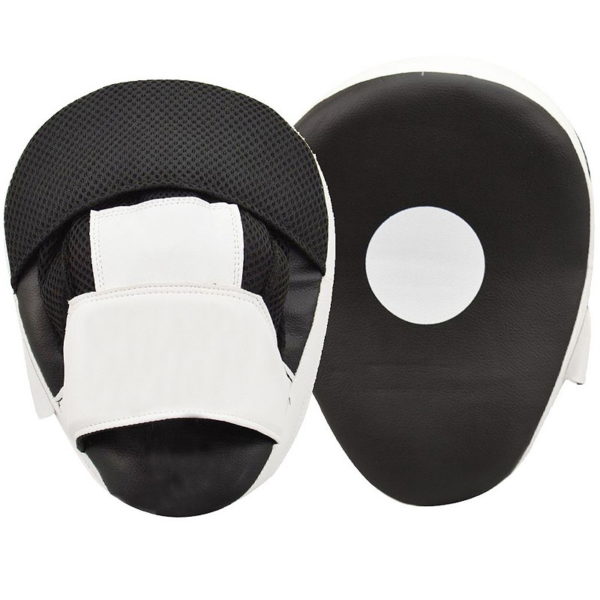 focus_pads03