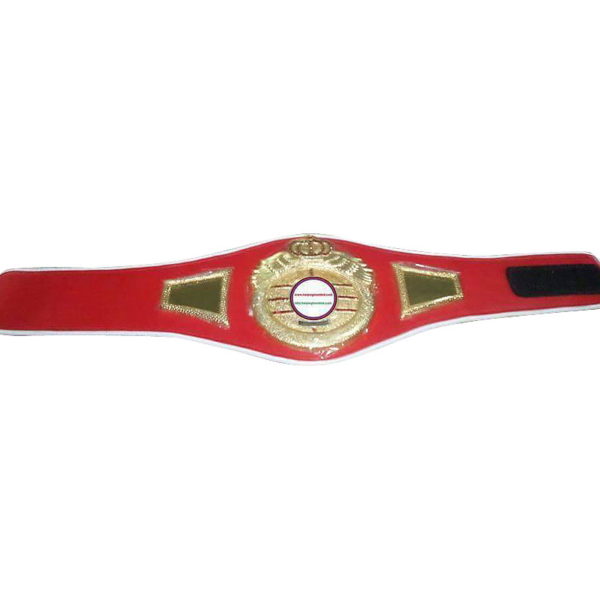 ibf-belt07