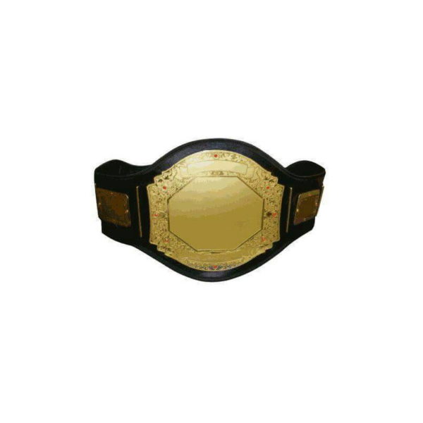 ibf-belt11